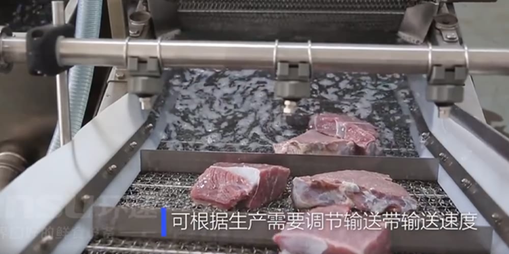 鮮食清洗機-肉食系列 肉食翻洗機設備
