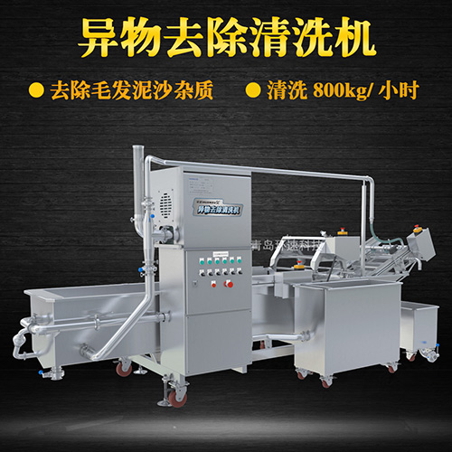 大型果蔬清洗機，氣泡清洗，清洗800kg小時