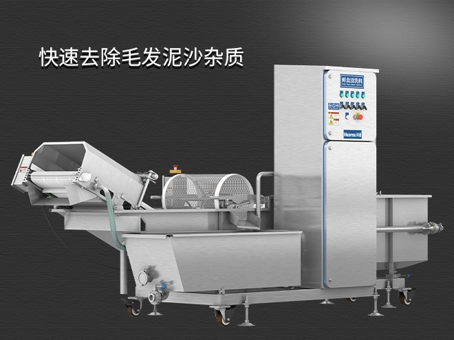 果蔬清洗機(jī)制造廠家，氣泡清洗，清洗800kg/小時(shí)